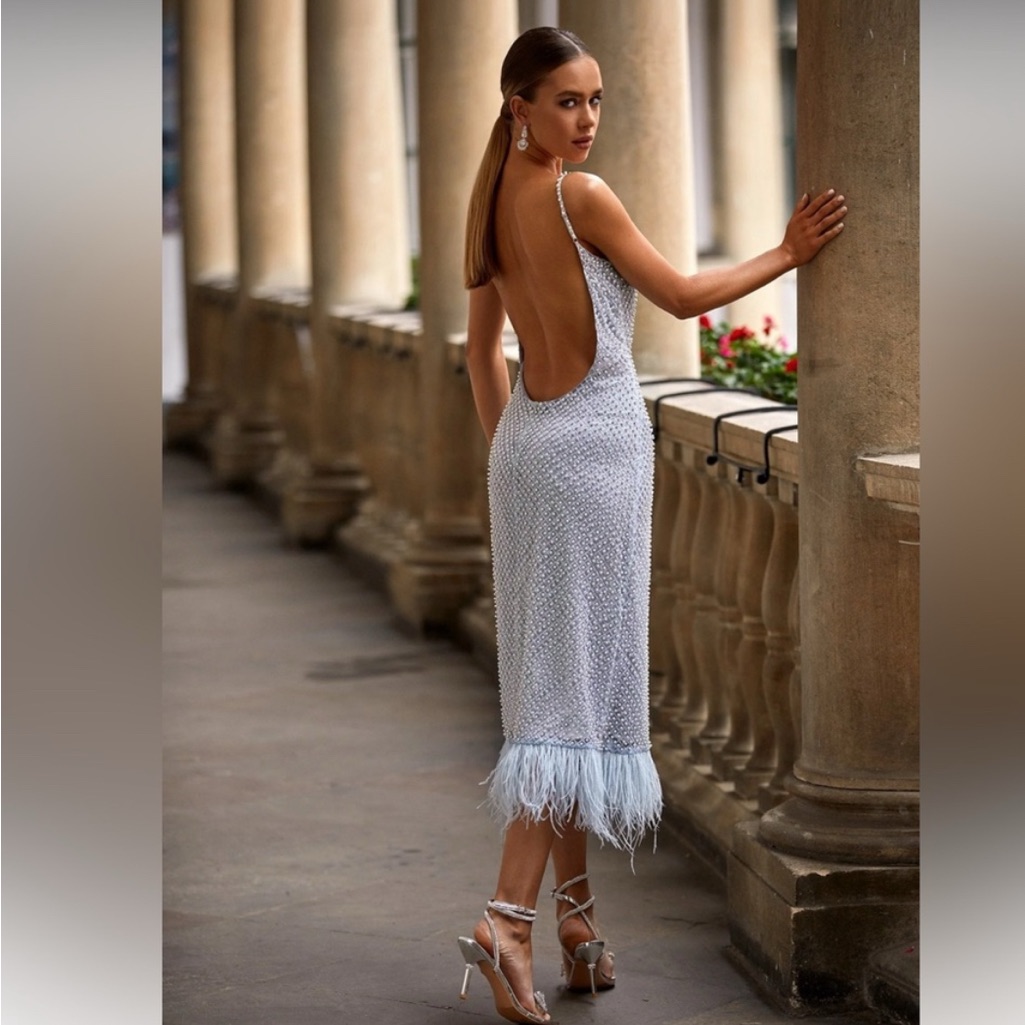 Alamour The Label Carlotta Dress Elegant Silver Evening Dress